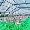 Nowoczesny duży namiot ślubny na świeżym powietrzu Aluminiowe schronienie 300 miejsc siedzących
